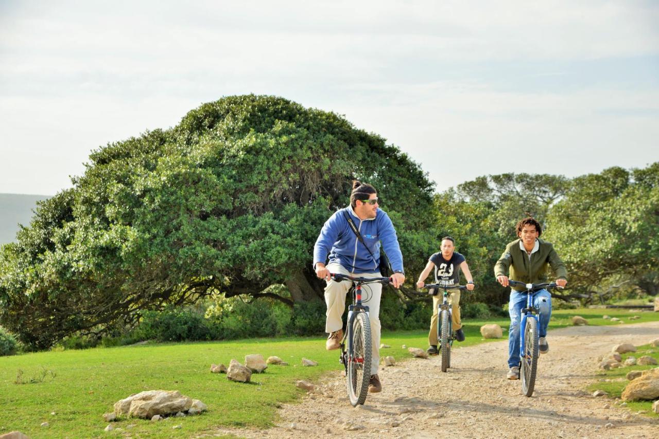 De Hoop Collection - Equipped Cottages De Hoop Nature Reserve Exteriör bild
