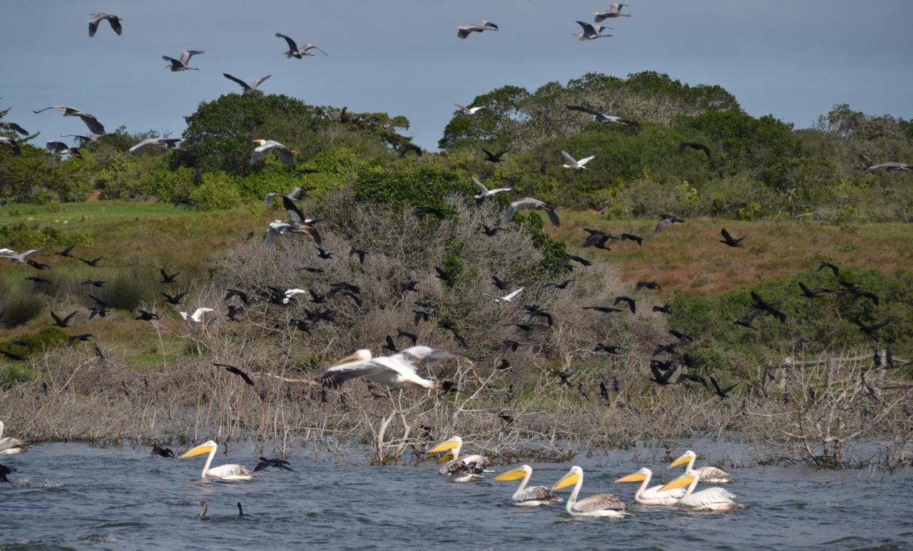 De Hoop Collection - Equipped Cottages De Hoop Nature Reserve Exteriör bild